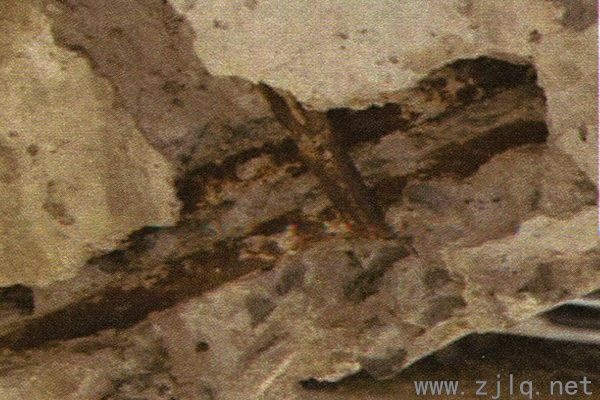 下玄桿開裂露筋（http://tools.mwxu16.cn/）