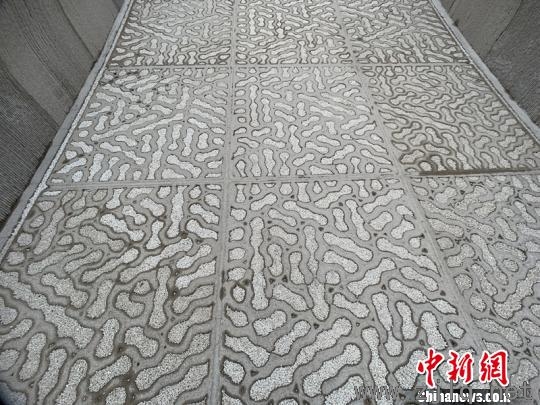 3D打印混凝土步行橋橋面?！】涤裾?攝